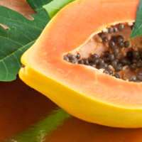 7 little words Papayas